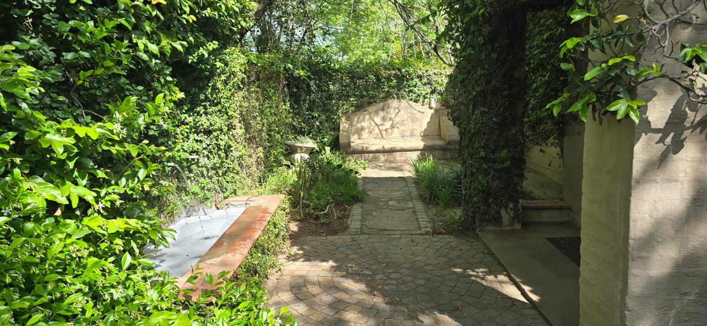 Quiet garden corner with a lily pond and stone bench